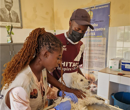 Campanha Nacional de Vacinação Animal Contra a Raiva