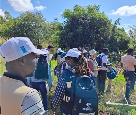 Actividades de campo - Mapa Entomológico de Angola (3 of 6)