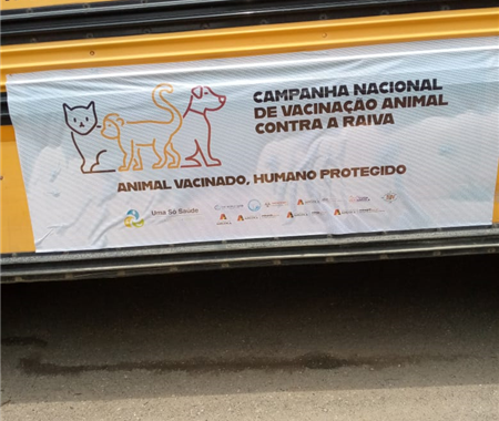Campanha de Vacinação Contra a Raiva Animal: Cabinda (6 of 6)