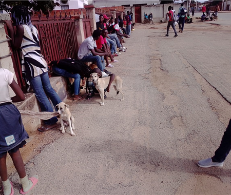 Vacinação Animal Contra a Raiva- Huíla (5 of 11)