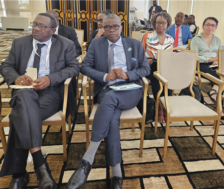 Reunião Extraordinária dos Ministros da Saúde da África Austral (2 of 3)