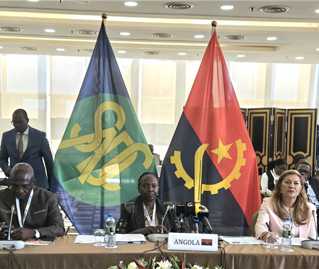 Reunião Extraordinária dos Ministros da Saúde da SADC  (1 of 4)