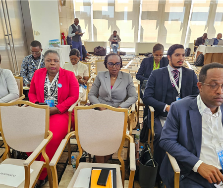 Reunião Extraordinária dos Ministros da Saúde da SADC  (2 of 4)