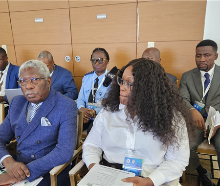 Reunião Extraordinária dos Ministros da Saúde da SADC  (4 of 4)