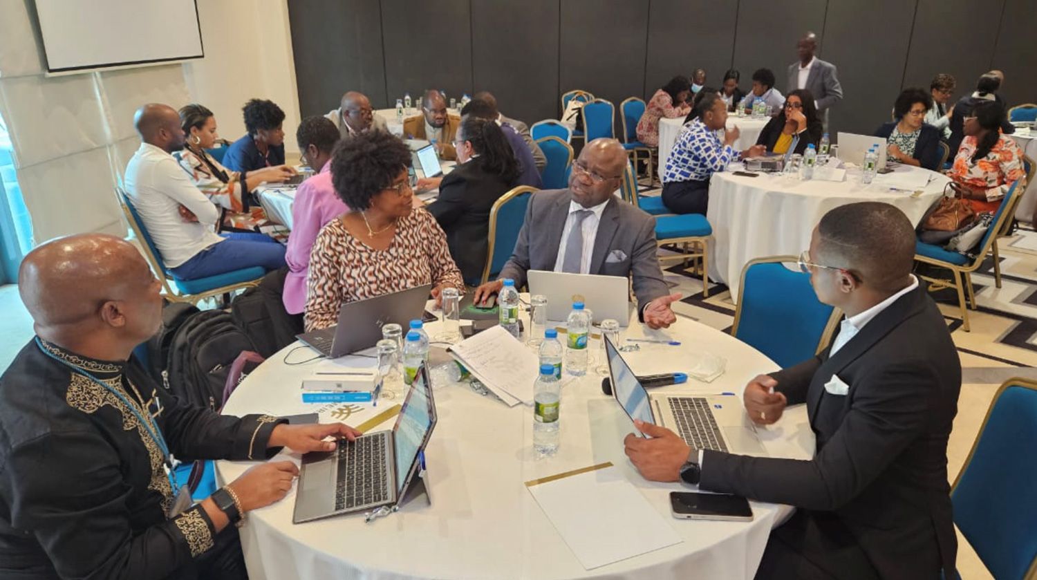 Membros do Comité Uma Só Saúde reunidos para avaliar o RSI 2025