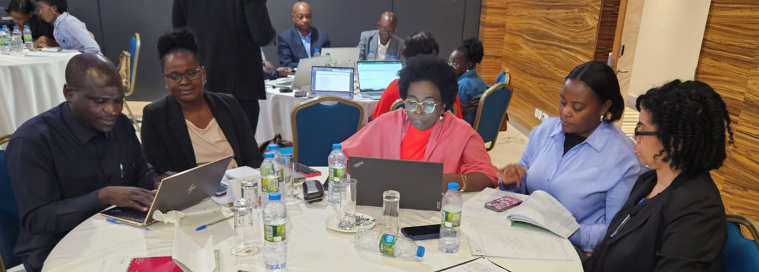 Membros do Comité Uma Só Saúde reunidos para avaliar o RSI 2025