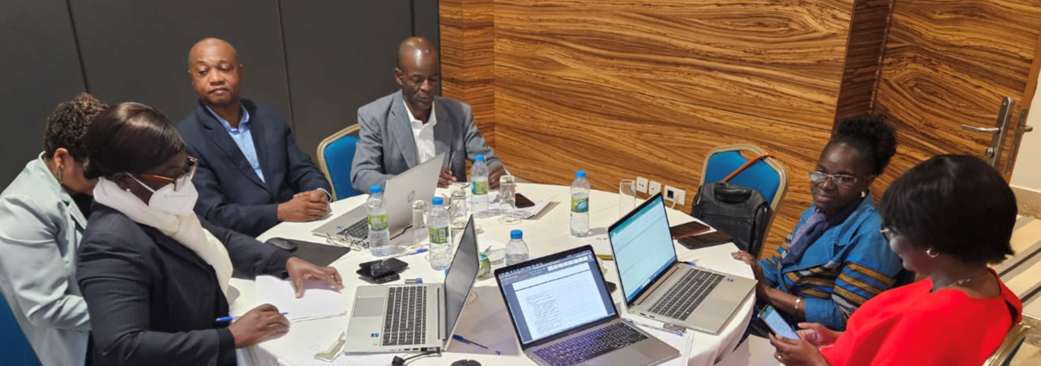 Membros do Comité Uma Só Saúde reunidos para avaliar o RSI 2025