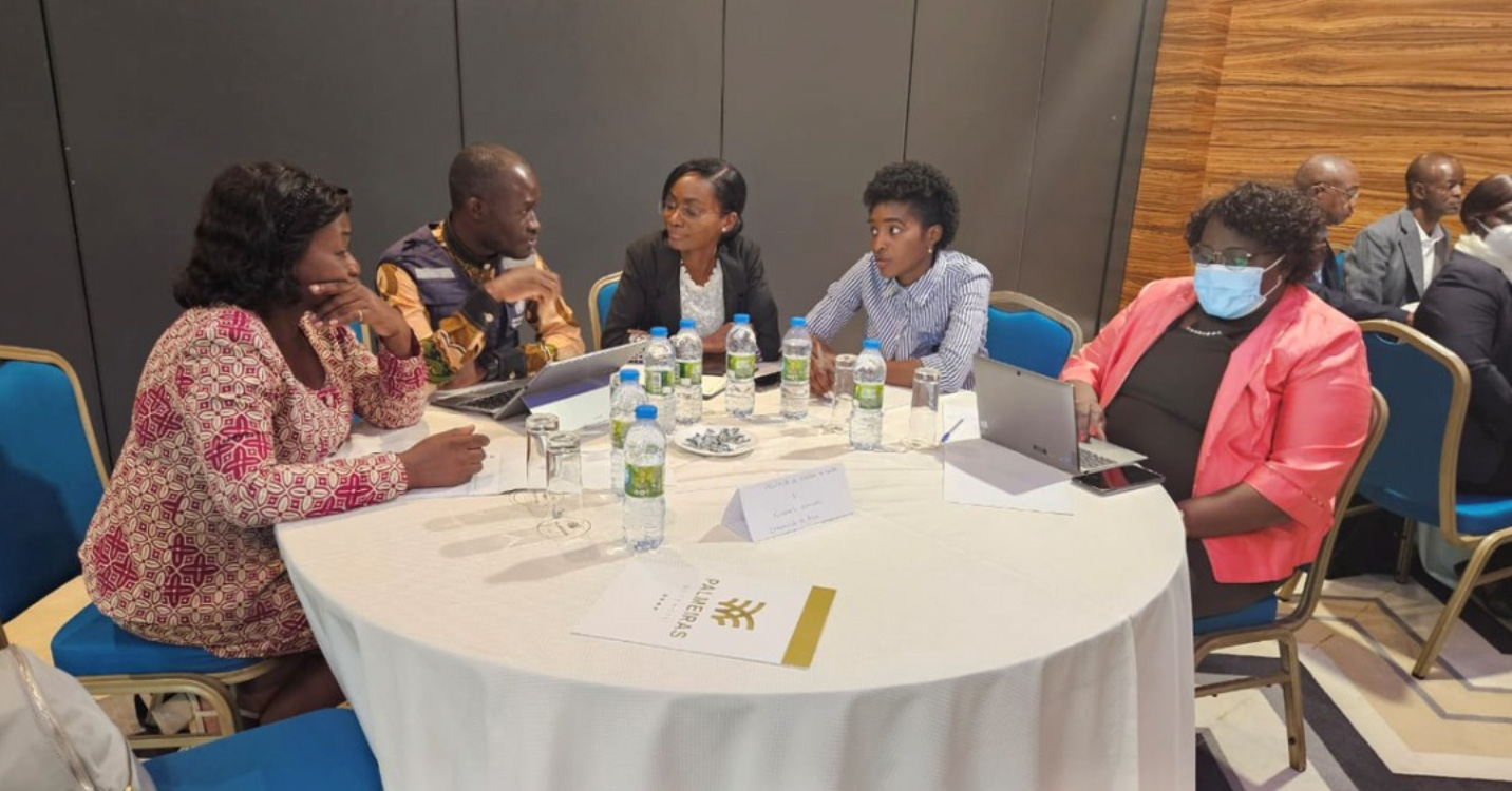 Membros do Comité Uma Só Saúde reunidos para avaliar o RSI 2025